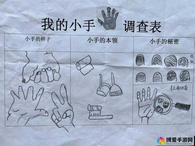 三指探洞和二指的区别是什么- 探秘手指游戏中的奥秘