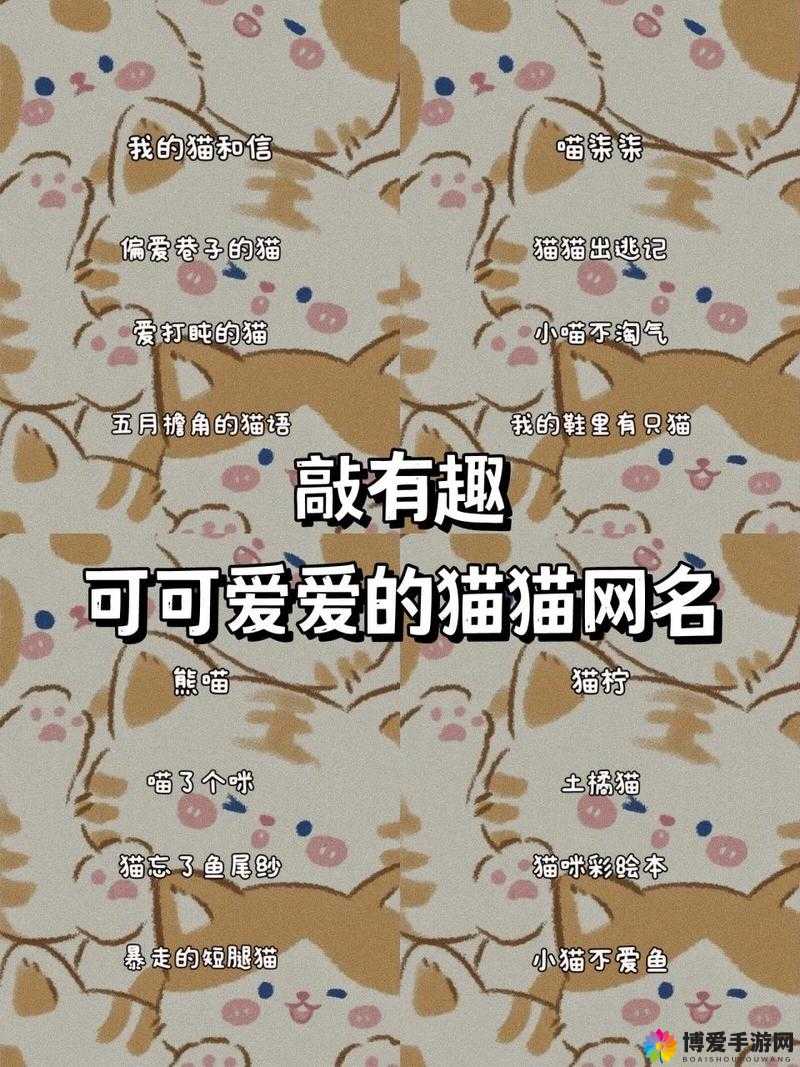 猫咪 MV 最新地域网名怎么改:如何巧妙进行更改操作