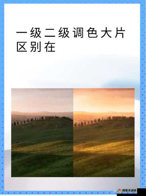 一级二级调色大片区别大吗以及它们各自的特点和应用领域探讨