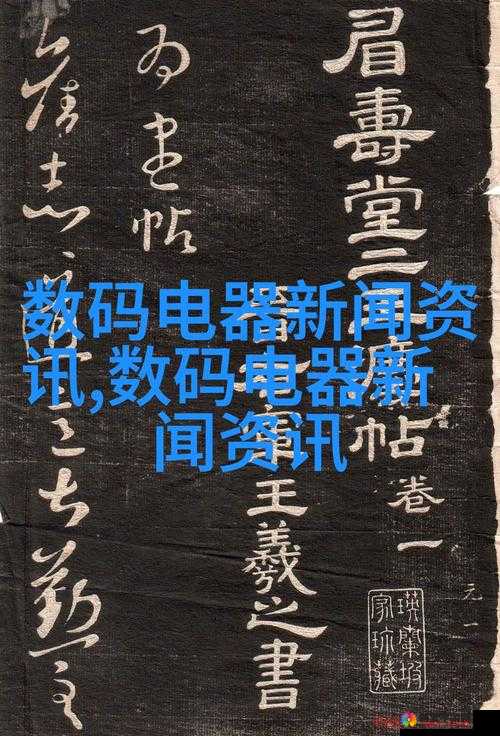 40 岁阿姨荒野大镖客一电影导演-关于其创作历程与独特风格的探讨