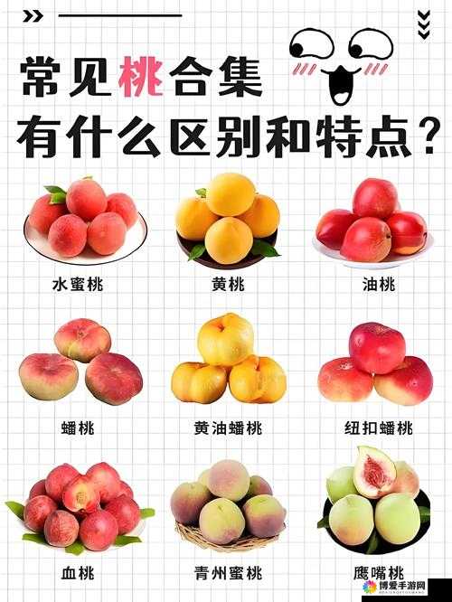 无人一区二区区别是什么红桃：深入探究其背后的奥秘
