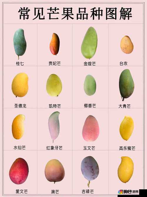 日产精品一线二线三线芒果 78 ：带你领略优质芒果的多样魅力