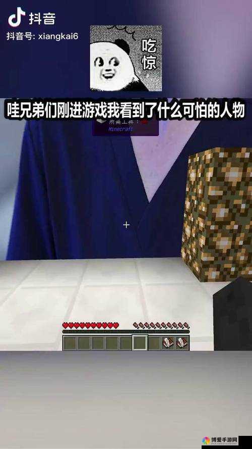 暴躁老外玩 minecraft 被恶意传出与榜一大哥的绯闻-水友们对此事的看法和反应