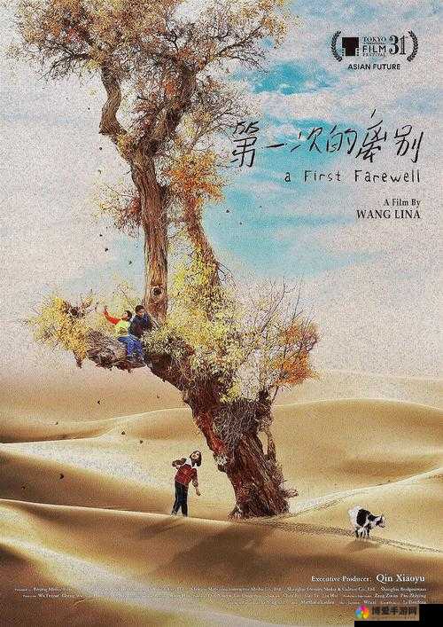 我们高清中国免费观看：精彩内容等你来看