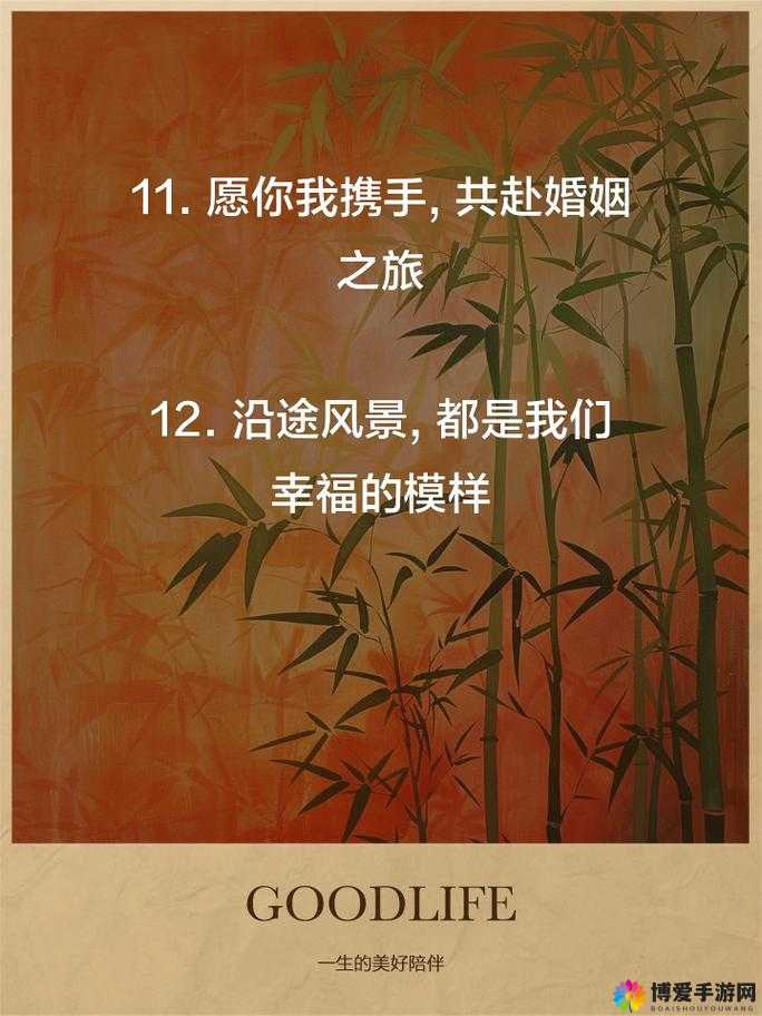 夫妻之间看的视频哔哩:共同探索情感世界的温馨之旅