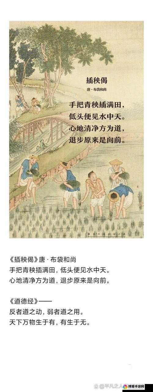 夫妻之间的 100 种插秧法：探索独特农耕技巧与情感交流