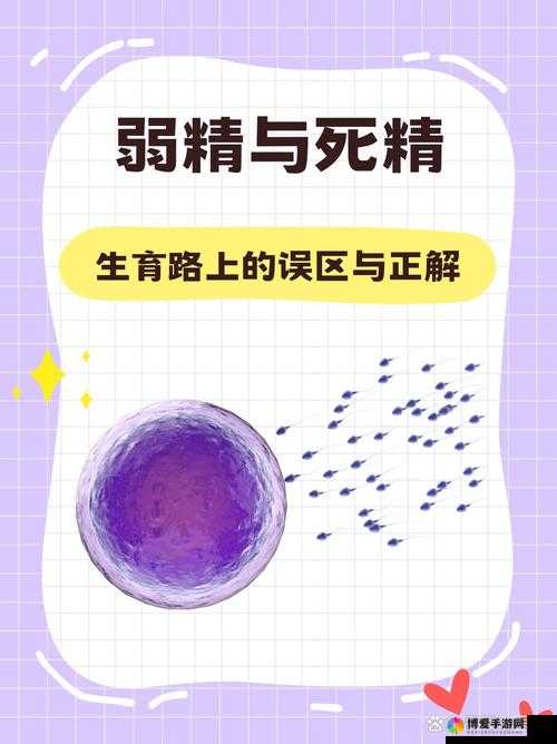 精二和精三的区别科精二和精三大公开：深度剖析二者差异与重点