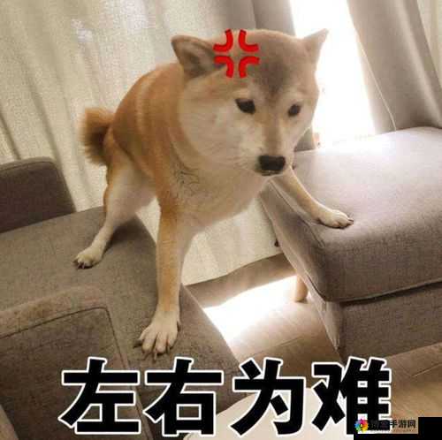 被夹在中间当磨心：左右为难，结局难测