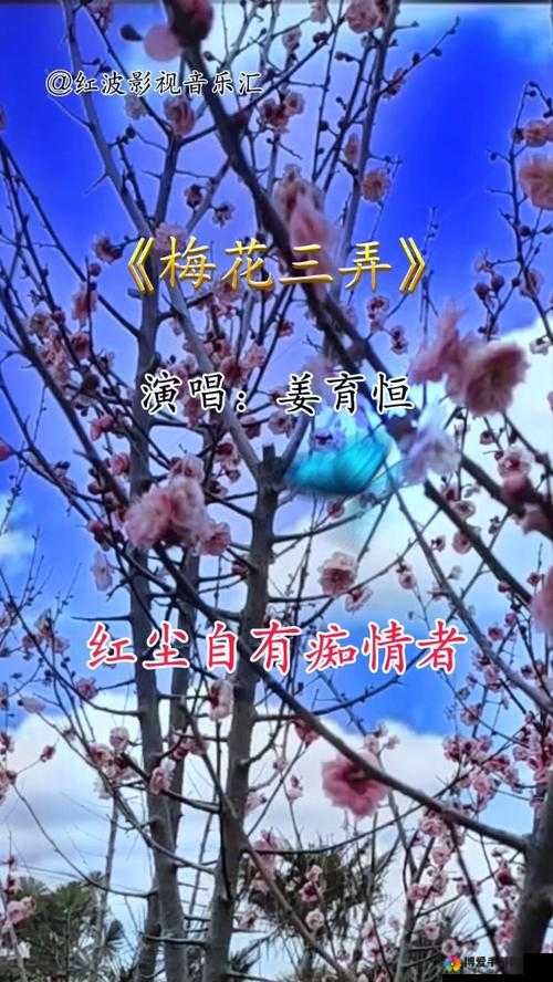 全新解读梅开二度梅花三弄：深度解析音乐背后的故事