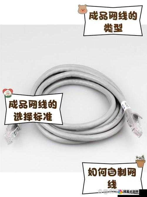精品成品网线 1688 优质网线批发与供应