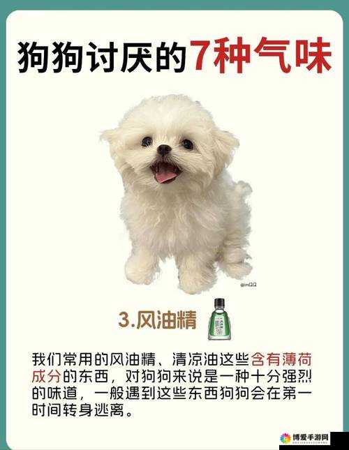 狗狗的东西又硬又烫又臭，这可咋办啊？