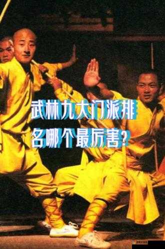 铁血武林十大门派介绍——华山篇，资源管理与价值最大化