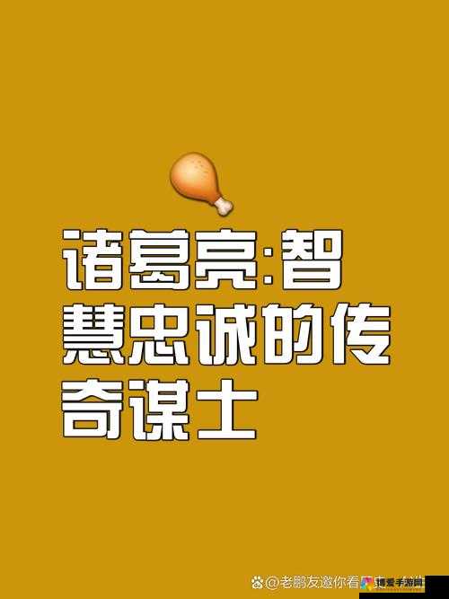 智慧与勇武的交响,诸葛亮与赵云在三国蜀国的辉煌篇章