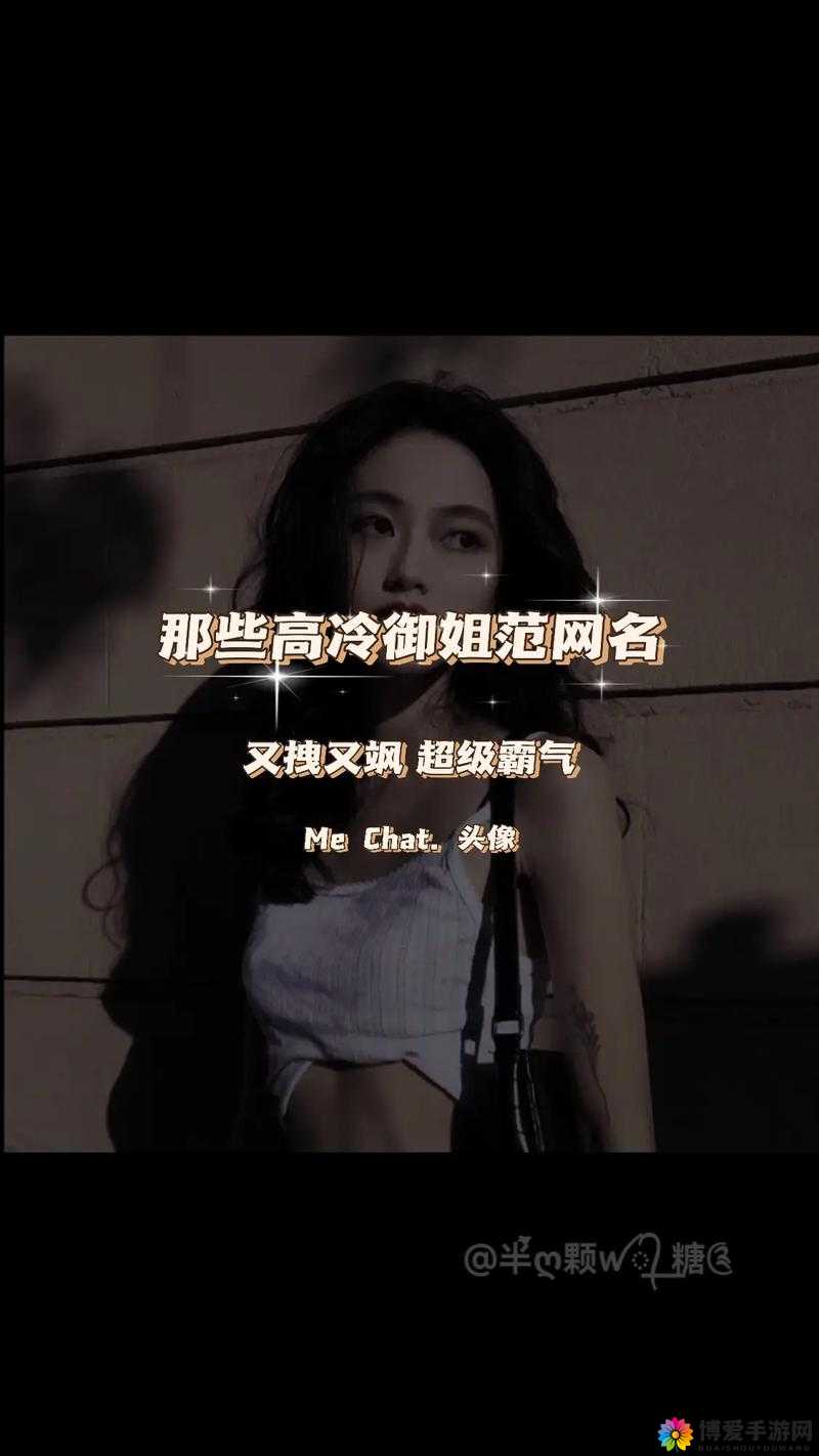 血饮天下，美艳高冷御姐的传奇篇章