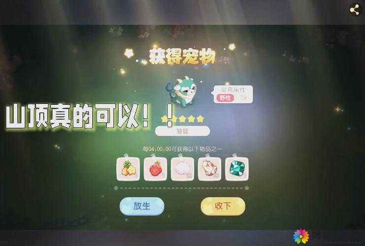 嗨皮精灵山洞宠物捕捉攻略详解，宠物捕捉条件