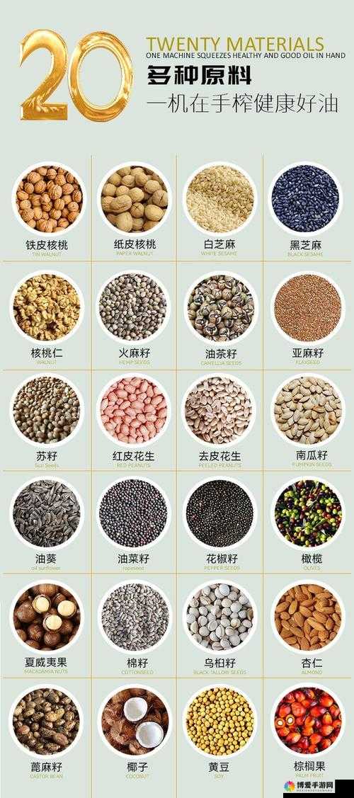 麻豆产精国品:揭秘高品质精品的生产过程与市场认可度分析