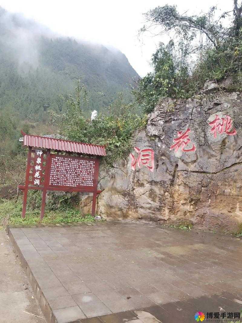 探秘桃花洞口现状：揭开神秘面纱，探索自然与历史的完美交融
