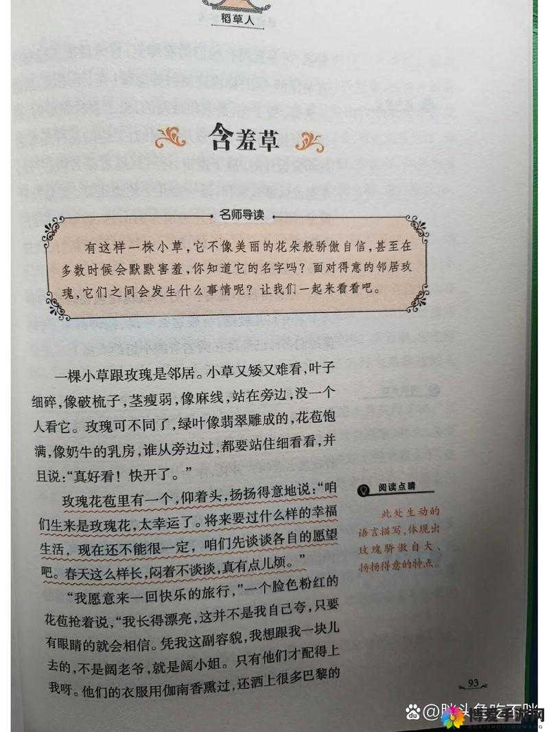 探索含羞草、四叶草与三叶草的神秘世界:它们背后的故事与象征意义