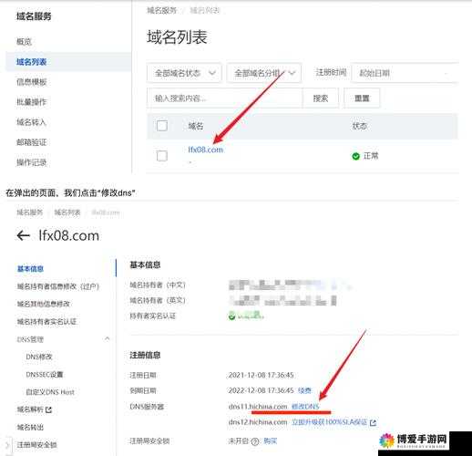 MY.72777最新域名查询方法及使用技巧，快速获取最新域名信息指南