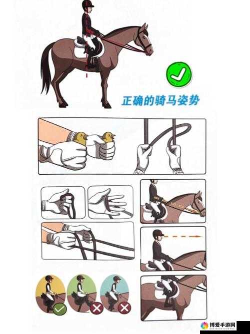 深入交流骑马技巧:如何提升骑马体验与安全性的全面指南