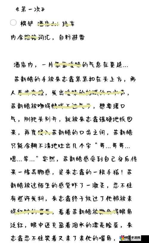 苏苏的日记公交车:一段关于城市生活与个人成长的独特记录与感悟分享