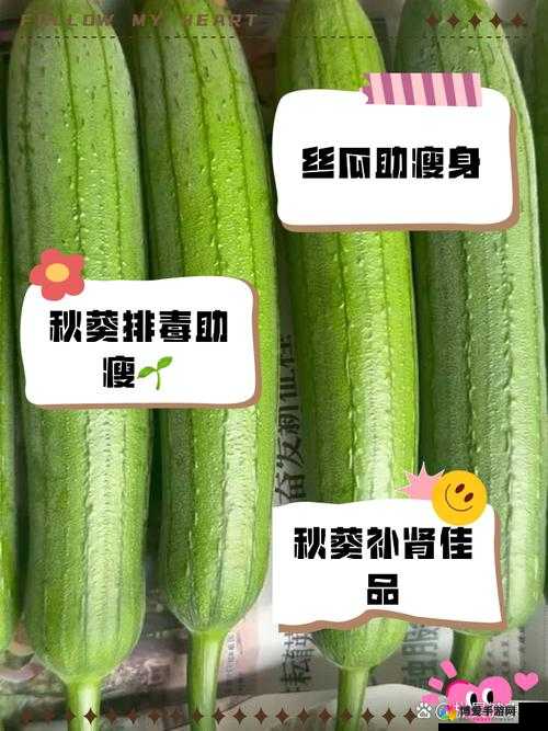 丝瓜草莓秋葵绿巨人IOS下载指南：如何在苹果设备上快速获取并安装这款应用？