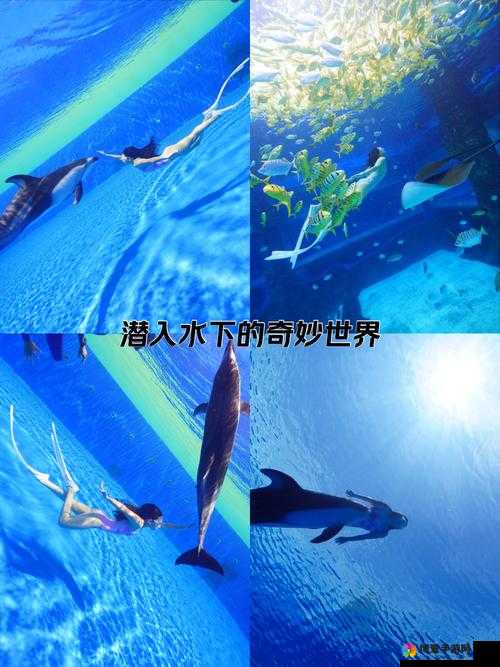 啊～嗯～ 我下水好多水，探索水下世界的奇妙体验与安全技巧分享