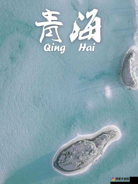 珍稀老BWBWBWBWBW对欢迎您的独特魅力与历史价值深度解析