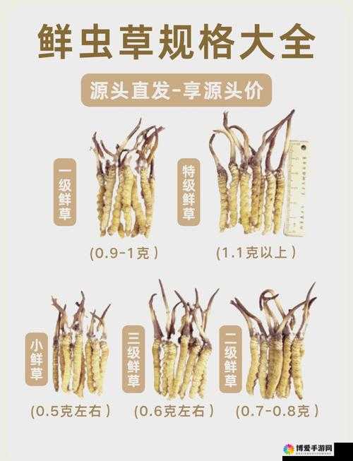 老牛嫩草一二三产品区别详解：如何选择最适合你的产品？全面解析功能与优势