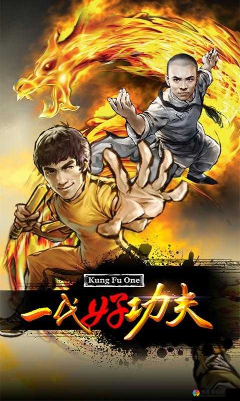 功夫全明星番外篇·序章(连载)在资源管理中的重要性及高效利用策略