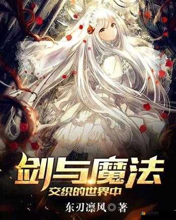 剑与魔法的世界，魔导师的转职之路