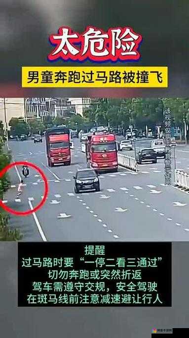 天天过马路,揭秘能打爆车角色在资源管理中的重要性及策略