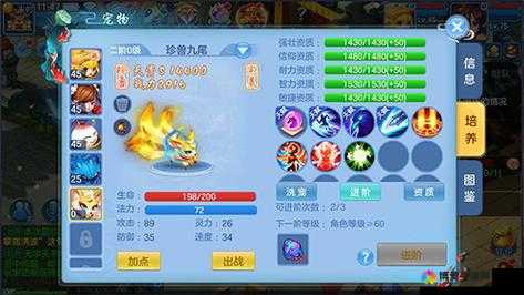 灵域戮仙高手进阶宠物篇