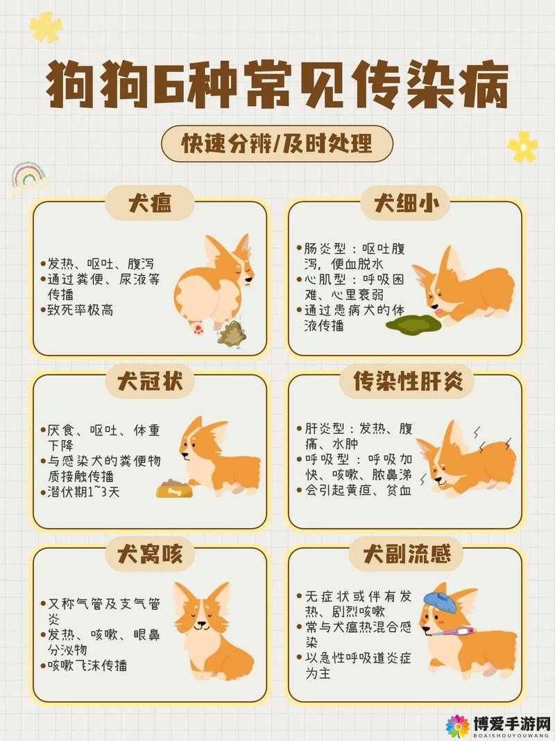 晴天小狗怎样预防小狗生病？