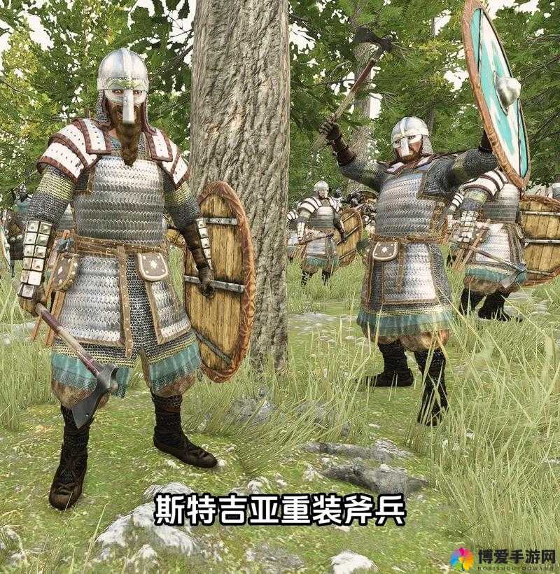 骑士对决装备搭配攻略，马匹与长矛的协同艺术