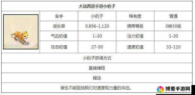 大话西游手游小豹子卡怎么样？小豹子卡属性全览