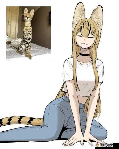 黑足的魅力，从野生猫科到动漫角色的奇妙跨越
