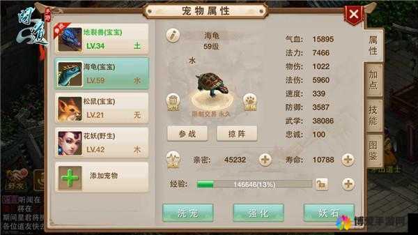 问道手游海龟怎么样,海龟属性技能获取图鉴在资源管理中的重要性及高效利用策略