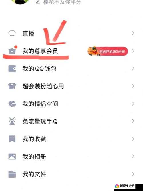 CF手游会员特权揭秘,QQ会员尊享详解