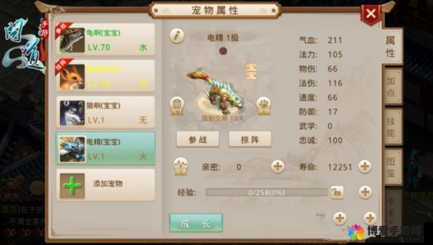 问道手游金头陀,宠物加点策略与战斗效能提升