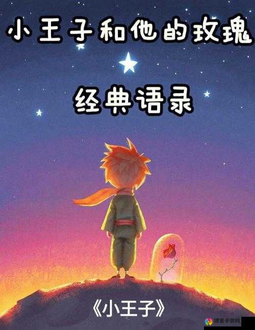 梦想星城小王子怎么样？小王子技能属性图鉴一览在资源管理中的重要性及高效利用策略