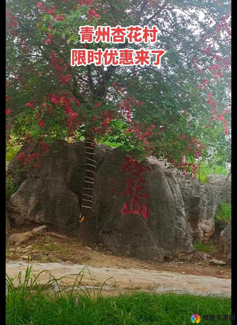 关门放吕布杏花山怎么过？杏花山通关攻略