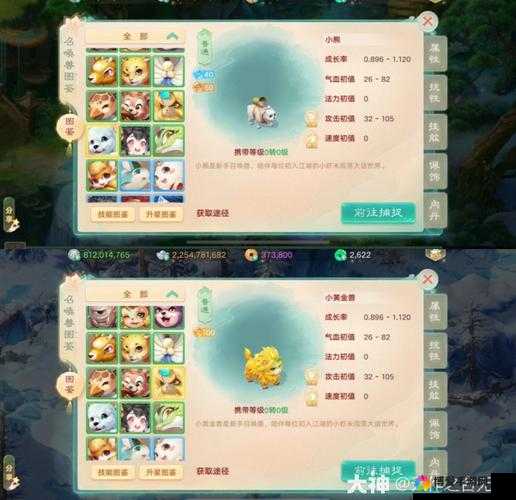 大话西游手游情花任务怎么玩？任务玩法详解