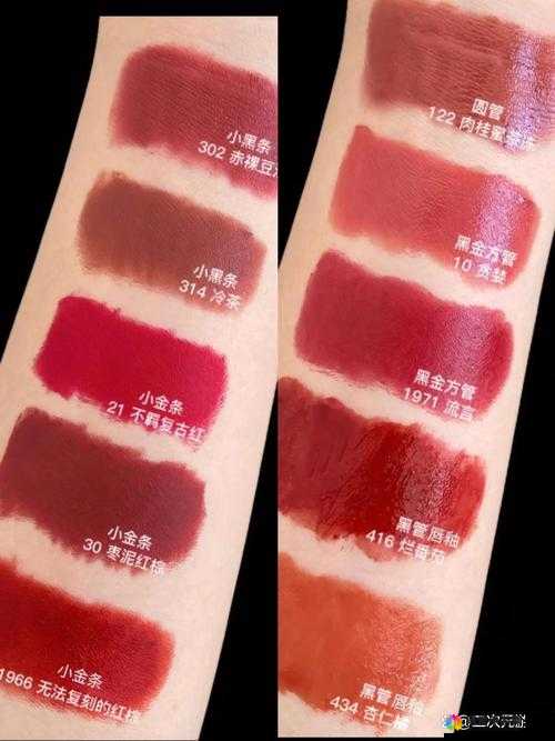 探索ysl千色t9t9t9的魅力：如何挑选最适合你的彩妆色号？