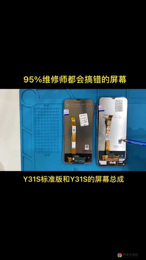 Y31s 和 Y31s 标准区别大揭秘海外直播间为何直呼不一样？快来一探究竟