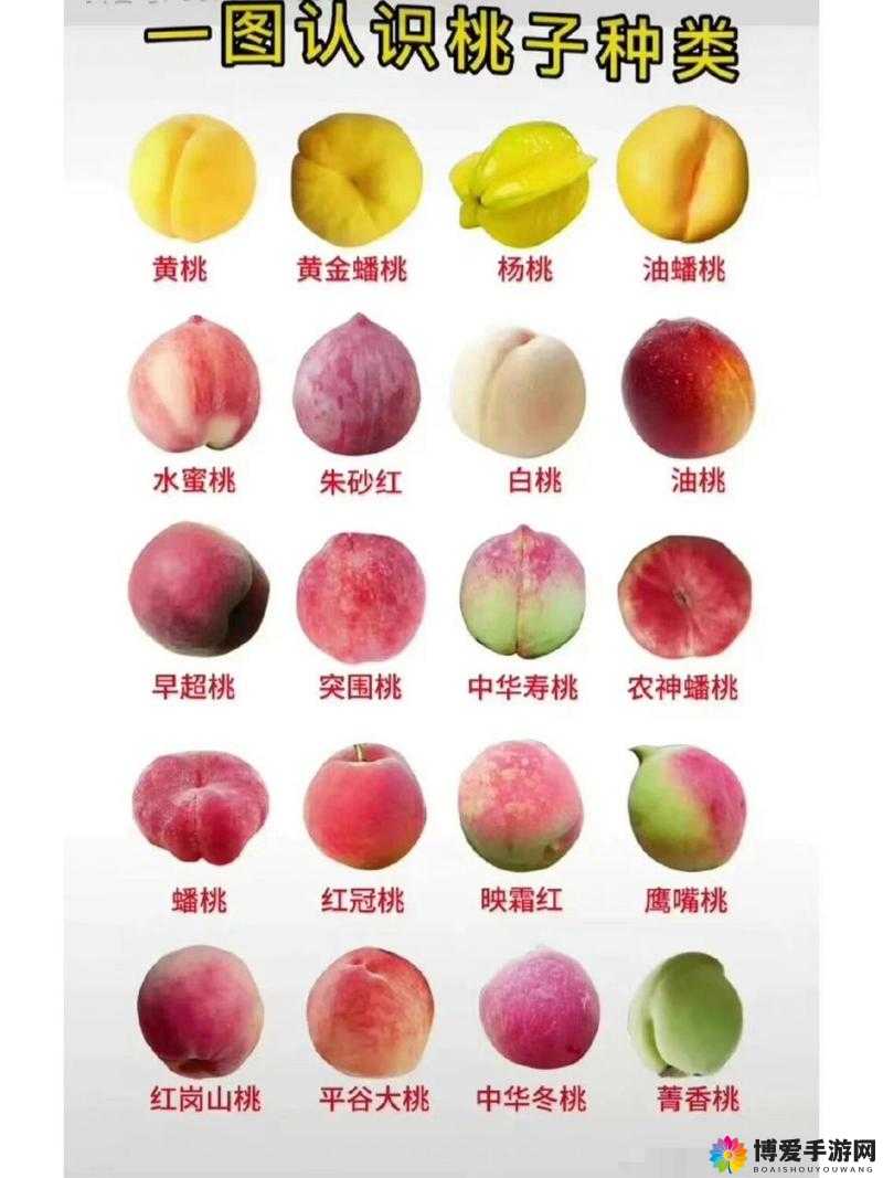 红桃内幕揭秘:无人一区二区区别大揭秘你知道多少?