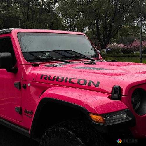 桃红色 jeep 界人口有何独特功能？快来一探究竟，了解其详细情况