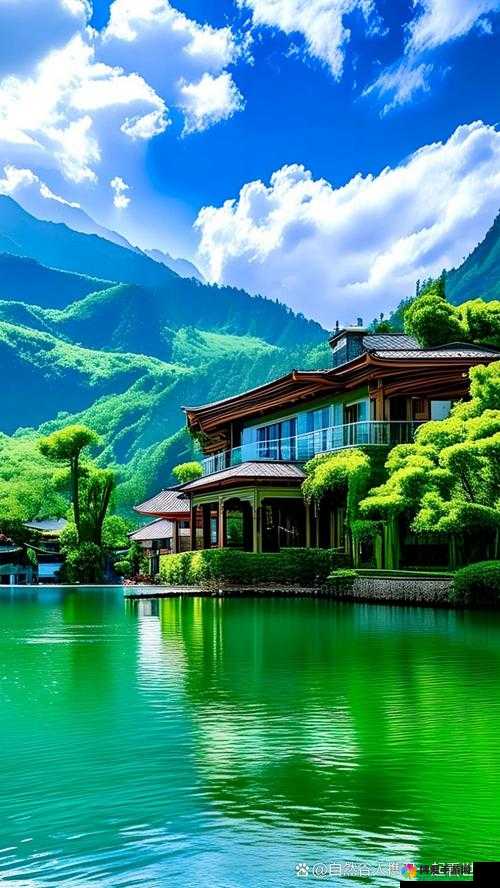 探索13277大但人文艺术日本活动的独特魅力：传统与现代的完美融合
