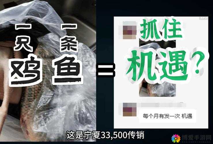 黄品汇 Abb 安装：一场涉及传销的骗局？还是真正的财富机遇？