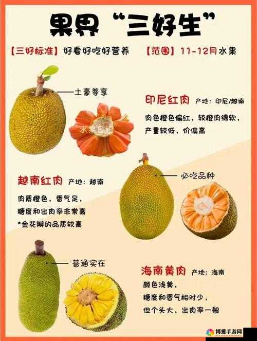 菠萝蜜一线二线三线品牌有哪些？全面解析菠萝蜜各品牌特点与差异